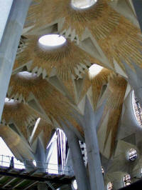 Gaud�: Vista general de les voltes de la nau principal de la Sagrada Fam�lia a 45 metres